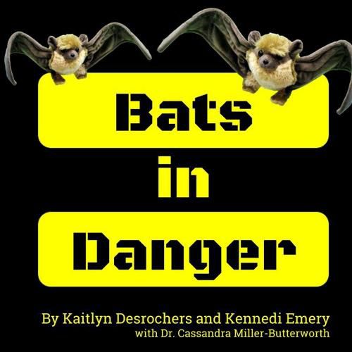 Cover image for Bats in Danger