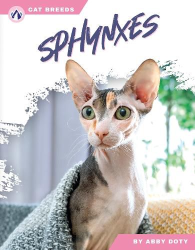 Cover image for Sphynxes