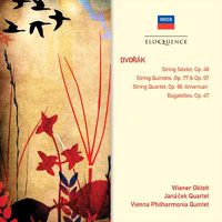 Cover image for Dvorak Sextet Op 48 String Quartet Op 77