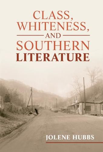 Cover image for Class, Whiteness, and Southern Literature