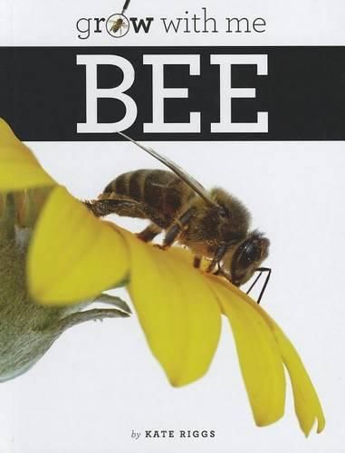 Cover image for Bee