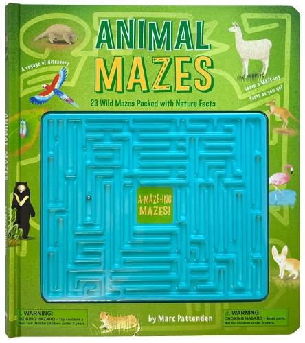 Cover image for Animal Mazes