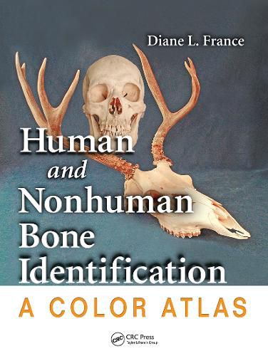 Cover image for Human and Nonhuman Bone Identification: A Color Atlas