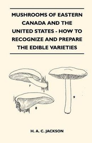 Cover image for Mushrooms Of Eastern Canada And The United States - How To Recognize And Prepare The Edible Varieties