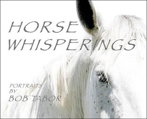 Cover image for Horse Whisperings