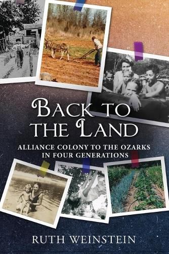 Cover image for Back to the Land: Alliance Colony to the Ozarks in Four Generations