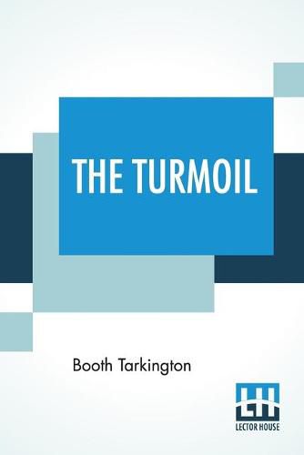 Cover image for The Turmoil