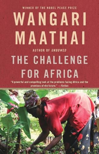 Cover image for The Challenge for Africa