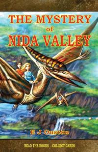 Cover image for The Mystery Of Nida Valley: A Magical Discovery