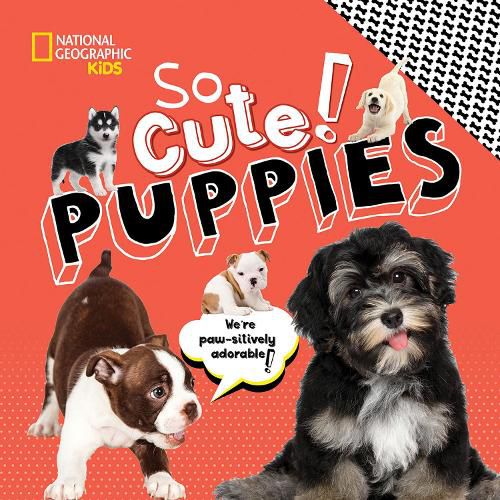 Cover image for So Cute! Puppies