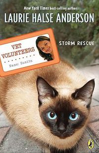 Cover image for Storm Rescue