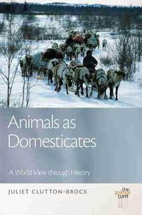 Cover image for Animals as Domesticates: A World View through History