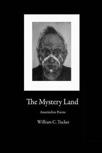 Cover image for The Mystery Land