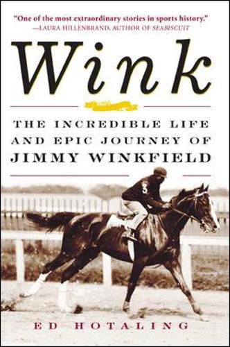 Cover image for Wink
