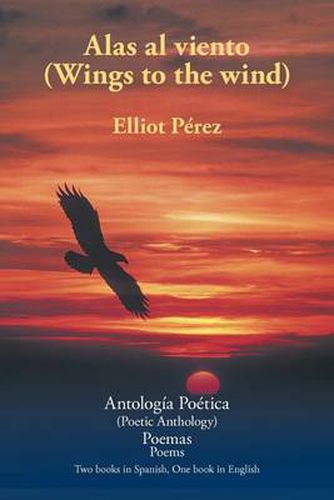 Cover image for Alas Al Viento (Wings to the Wind)