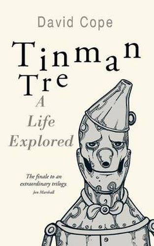 Cover image for Tinman Tre