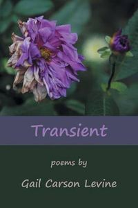 Cover image for Transient