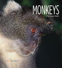 Cover image for Monkeys