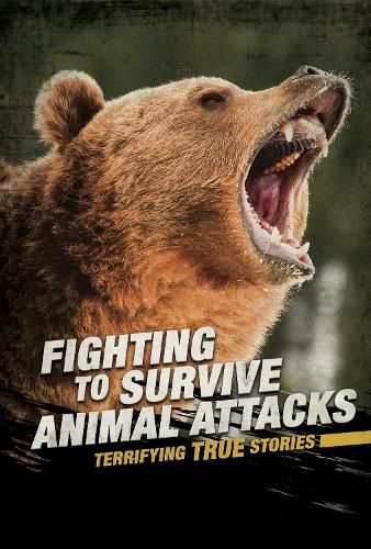 Fighting to Survive Animal Attacks: Terrifying True Stories