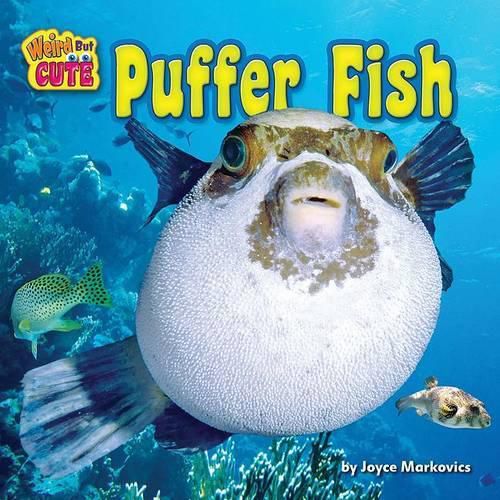 Cover image for Puffer Fish