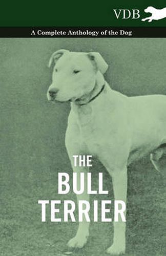 Cover image for The Bull Terrier - A Complete Anthology of the Dog -