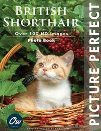 Cover image for British Shorthair