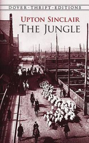 Cover image for The Jungle