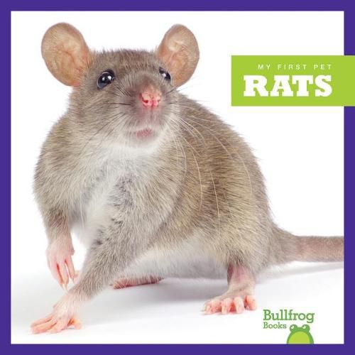 Cover image for Rats