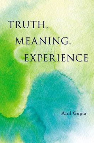 Cover image for Truth, Meaning, Experience