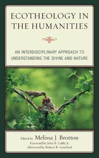 Cover image for Ecotheology in the Humanities: An Interdisciplinary Approach to Understanding the Divine and Nature