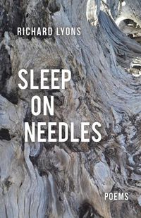 Cover image for Sleep on Needles