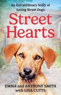 Cover image for Street Hearts