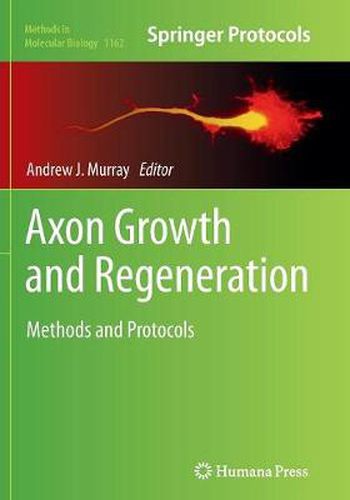 Cover image for Axon Growth and Regeneration: Methods and Protocols