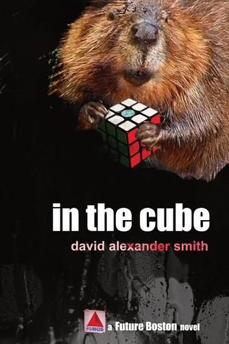 Cover image for In the Cube