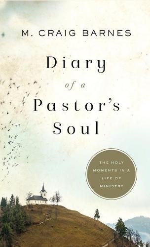 Cover image for Diary of a Pastor's Soul