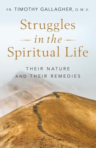 Cover image for Struggles in the Spiritual Life: Their Nature and Their Remedies