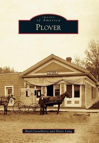 Cover image for Plover