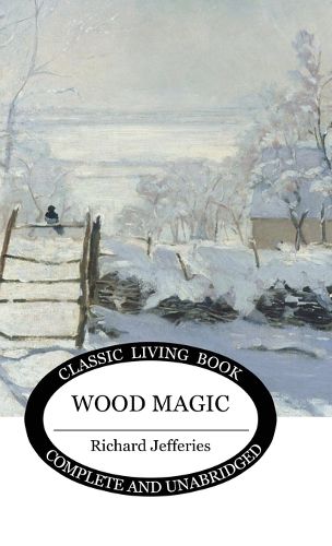 Cover image for Wood Magic