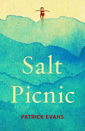 Cover image for Salt Picnic