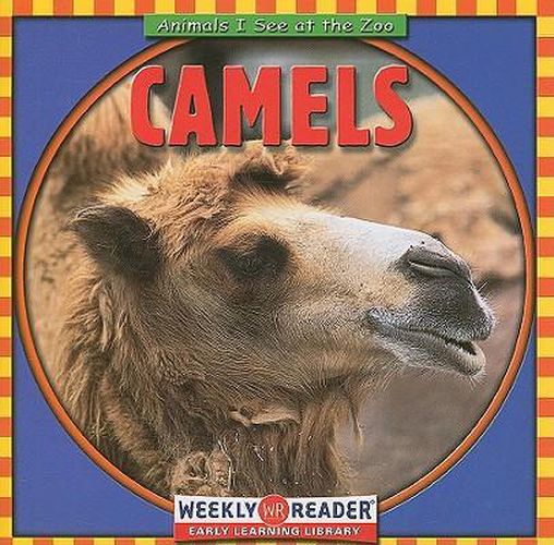 Camels