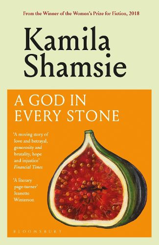 Cover image for A God in Every Stone