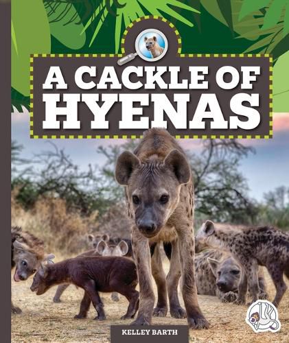 A Cackle of Hyenas