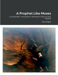 Cover image for A Prophet Like Moses