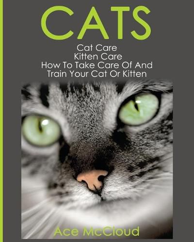 Cover image for Cats: Cat Care: Kitten Care: How To Take Care Of And Train Your Cat Or Kitten