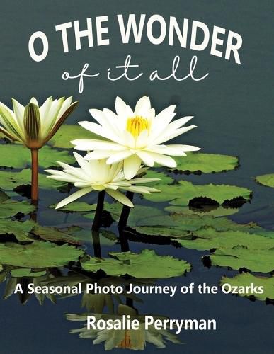 Cover image for O the Wonder of it All