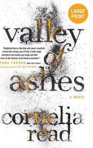 Cover image for Valley of Ashes