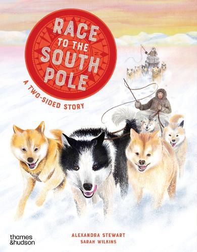 Cover image for Race to the South Pole