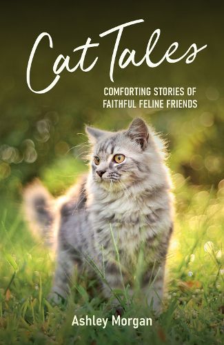 Cover image for Cat Tales