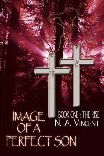Cover image for Image of a Perfect Son: The Rise