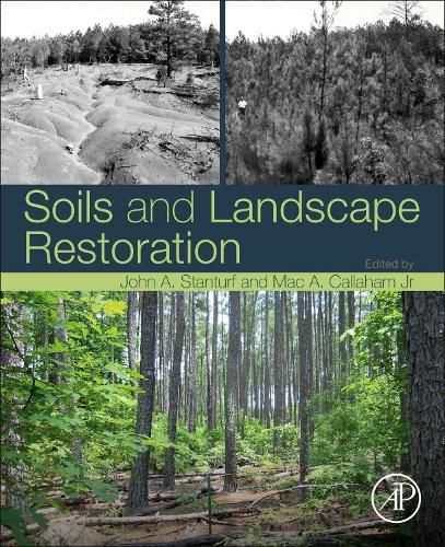 Cover image for Soils and Landscape Restoration